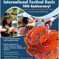 International-Festival-Davis-1