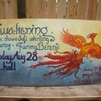 Fliers-Awakening-Artemis-DI