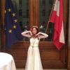 Austrian-Turkish Embassy-EU