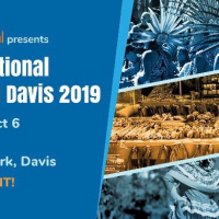 International-Festival-Davis